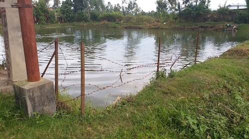 Khullakpam Mamang Pukhri