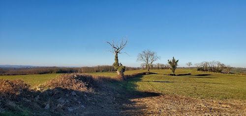 Chambonchard