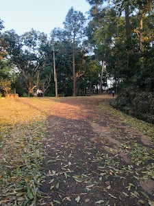Villa Round Retreat