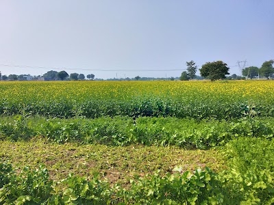 Sheeshwara