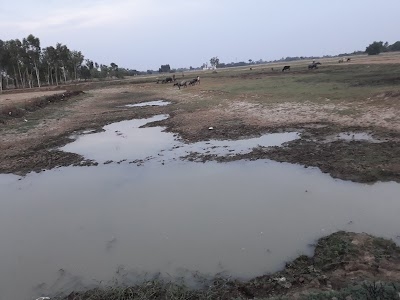 Shahganj