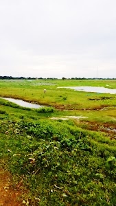 Lodhna