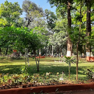 Raywood Garden