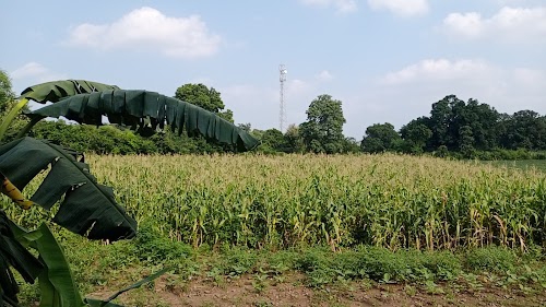 Bihar