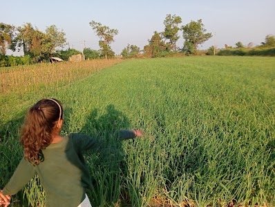 Madhavjibhai D Virani's Farm