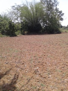 Kalahandia