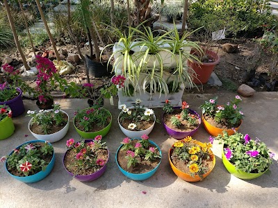 Hyderabadi Nursery Showroom