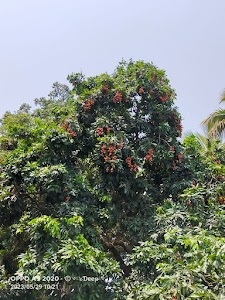 Murshidabad Estate Karbala