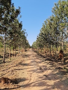 J B Kaval Tree Park