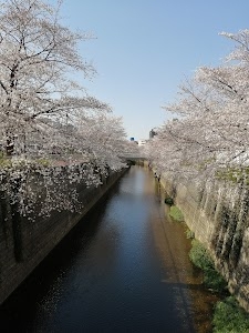Nerima City