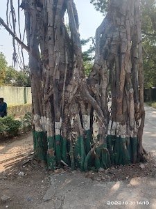 Zoo Restaurant