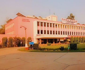 CRRI- Central Road Research Institute