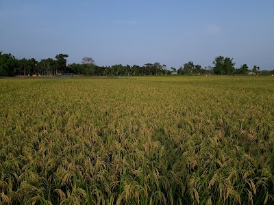 District Agriculture Office
