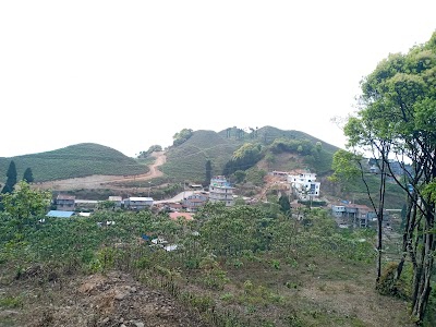 Kolbung