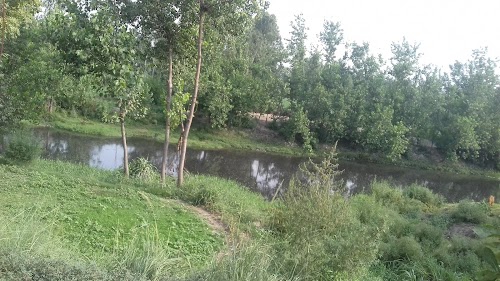Dabal