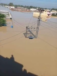 Qadri janaral store