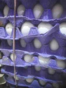 Jio mart Krishna Store wholesale egg sales