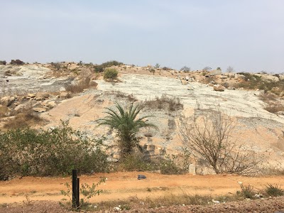 Tyakal