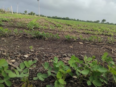 Shivam farm house