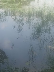 Hathopur