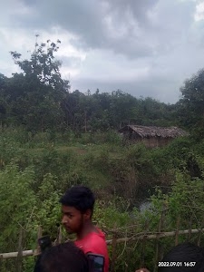BAURIDIHA BUS STAND