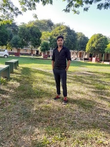 Ulubari