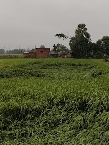 Malhanpar
