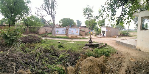 Nibola