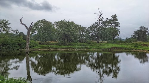 Sajapali