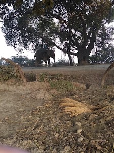 Langarpur
