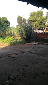 Muraiya Buju