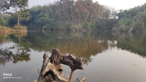 kowaifang forest lake