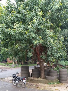 जगदीशपुर तिराहा पानीटंकी बुडवा बबा