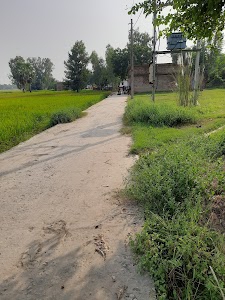 Primary school jamira chauradih