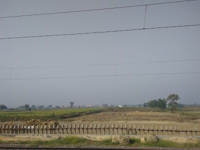 Bamnikhera
