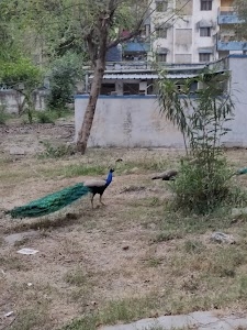 Subroto Park
