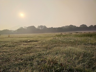 Alstom Cricket Ground