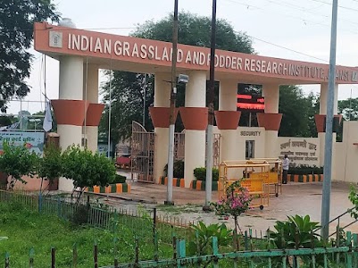 ICAR-Indian Grassland and Fodder Research Institute