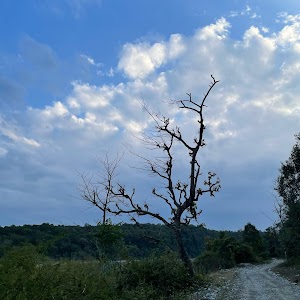 Ramganga Reservoir
