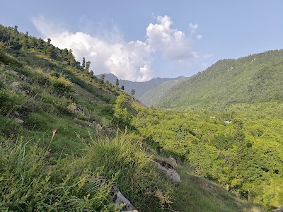 NAGBAL TRAL