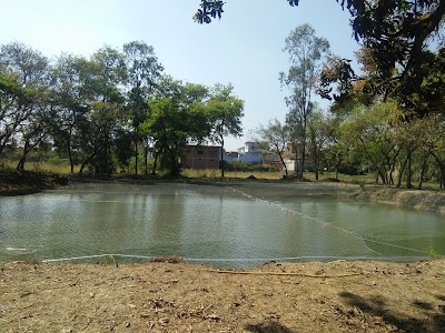 Balaji Fish Farming
