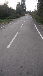 Gopalpora