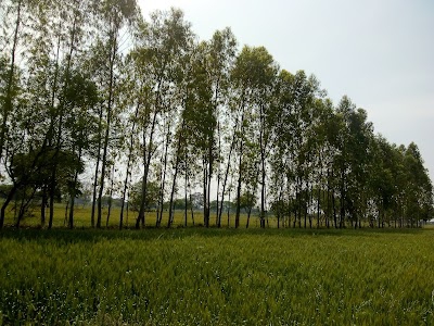 Khsheer sagar