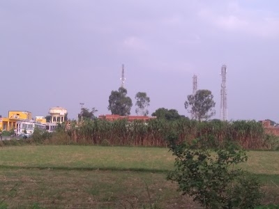 Phalauda