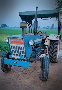 Bandi