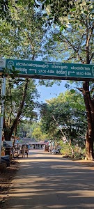 Muduba