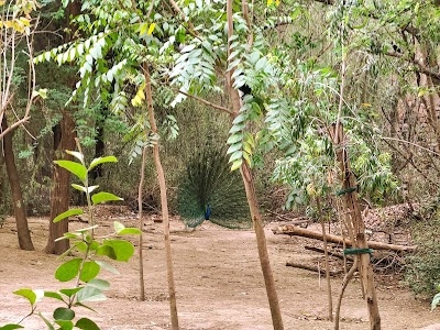 Arun Jaitley Park