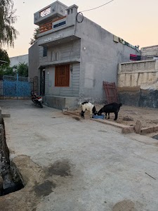 HALIMA HOUSE