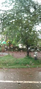 Thodar
