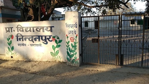 Nindanpur School